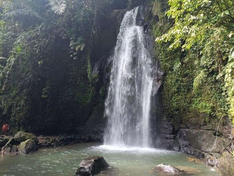 Ubud: Monkey Forest, Temple, Rice Terraces, Hidden Waterfall - Coffee plantation: a short tasting with a sales stop to consider