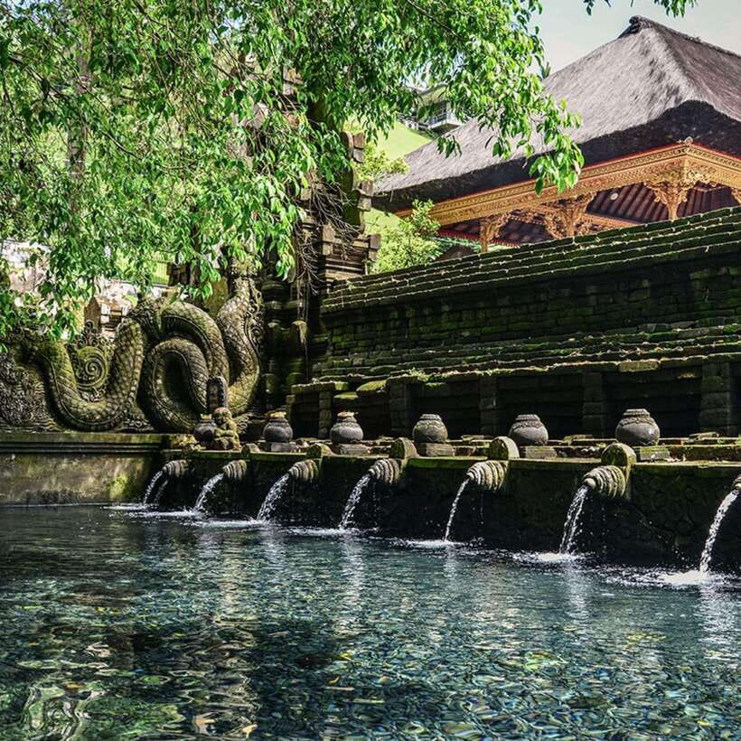 Ubud: Monkey Forest, Temple, Rice Terraces, Hidden Waterfall - Transport, timing, and what to bring