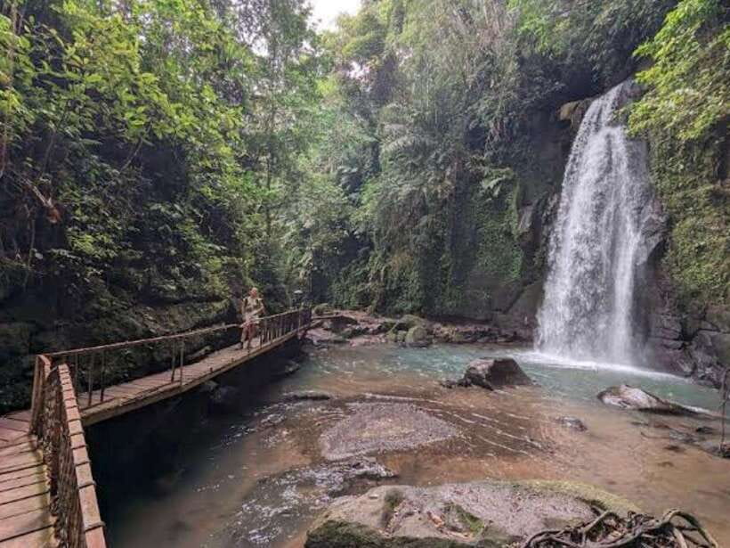 Ubud: Monkey Forest, Temple, Rice Terraces, Hidden Waterfall - Monkey Forest: playful animals and firm boundaries