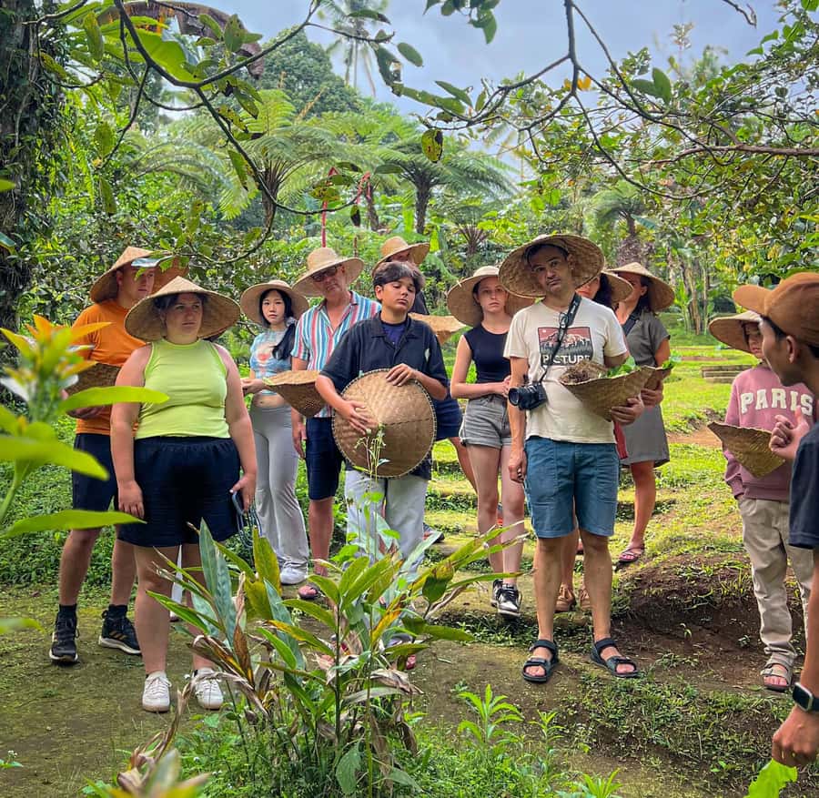 Ubud: Organic Farm Harvest, Bali Cooking Class by Pemulan - Key points at a glance