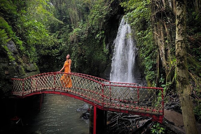 UBUD Private Tour – Rice Terrace, Jungle Swing & Hidden Waterfall - What the Private Car Adds