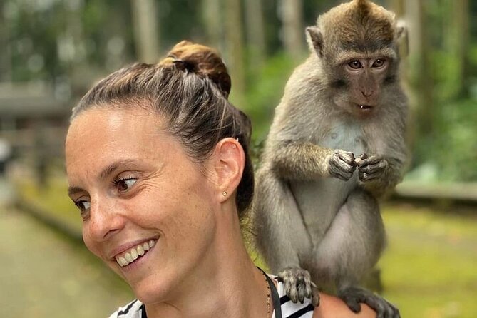 UBUD Private Tour – Rice Terrace, Jungle Swing & Hidden Waterfall - Is $33.82 a Good Price?