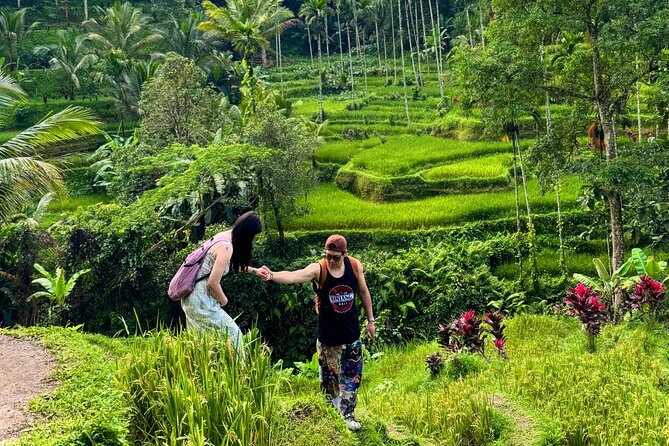 UBUD Private Tour – Rice Terrace, Jungle Swing & Hidden Waterfall - Tamansari Waterfall and Natural Pool