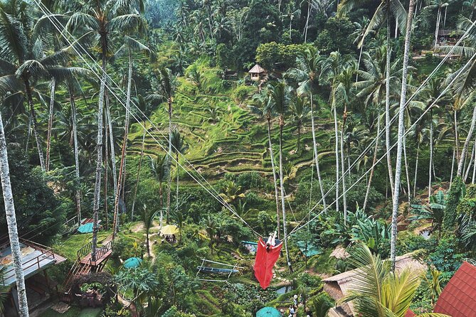 Ubud Private Tour: Waterfall, Monkey Forest, Rice Terrace, Temple - Key details to know before booking
