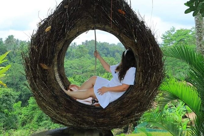 Ubud Private Tour: Waterfall, Monkey Forest, Rice Terrace, Temple - Why this Ubud day works from Nusa Dua