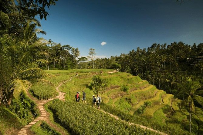 Ubud Rafting - Rice Terrace - Tegenungan Waterfall - Tanah Lot Sunset Temple - Tegalalang Rice Terrace, one hour among Bali’s famous paddies