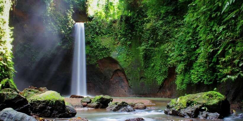 Ubud: Rice Terrace, Holy Water Temple & Waterfalls Trek Tour - The guide can shape the whole day