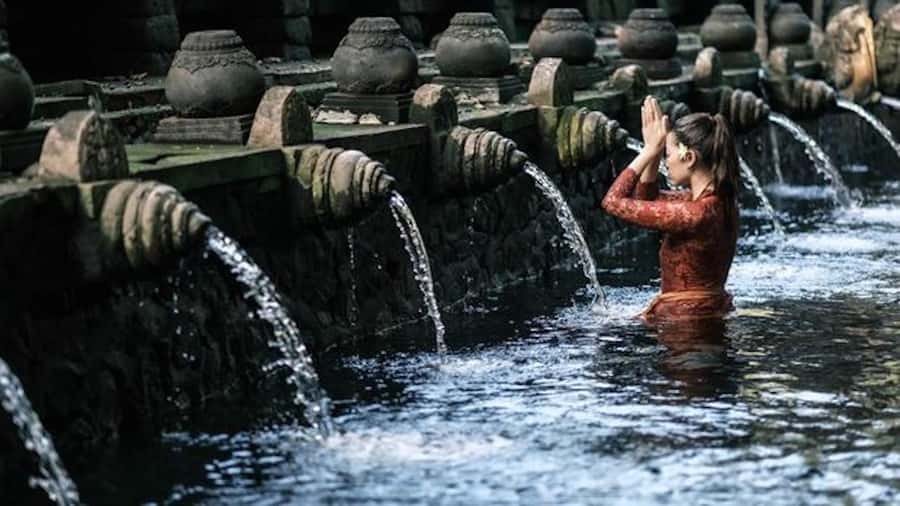 Ubud: Rice Terrace, Waterfall, & Elephant Cave - What the private guide adds
