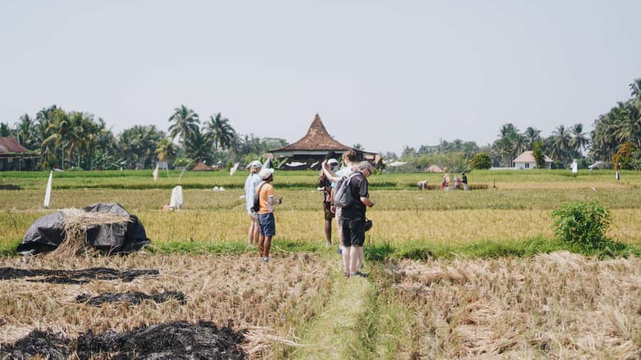 Ubud: Rice Terraces & Villages Half-Day Fat Tire E-Bike Tour - Key points at a glance