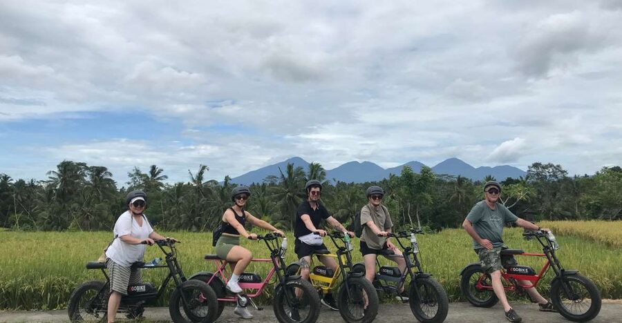 Ubud: Rice Terraces & Villages Half-Day Fat Tire E-Bike Tour - Lunch in Ubud completes the half-day