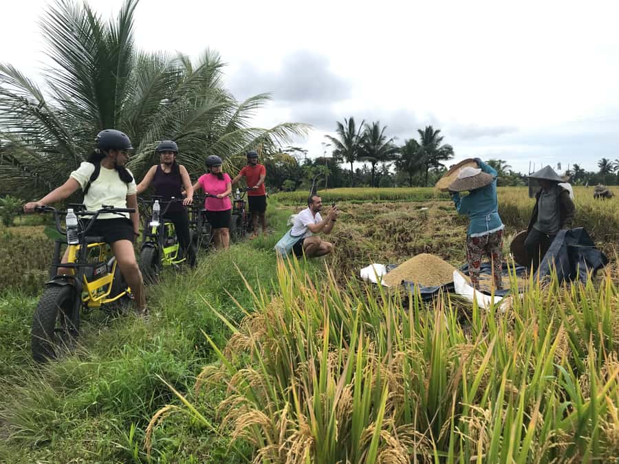 Ubud: Rice Terraces & Villages Half-Day Fat Tire E-Bike Tour - Why this e-bike tour works so well in Ubud