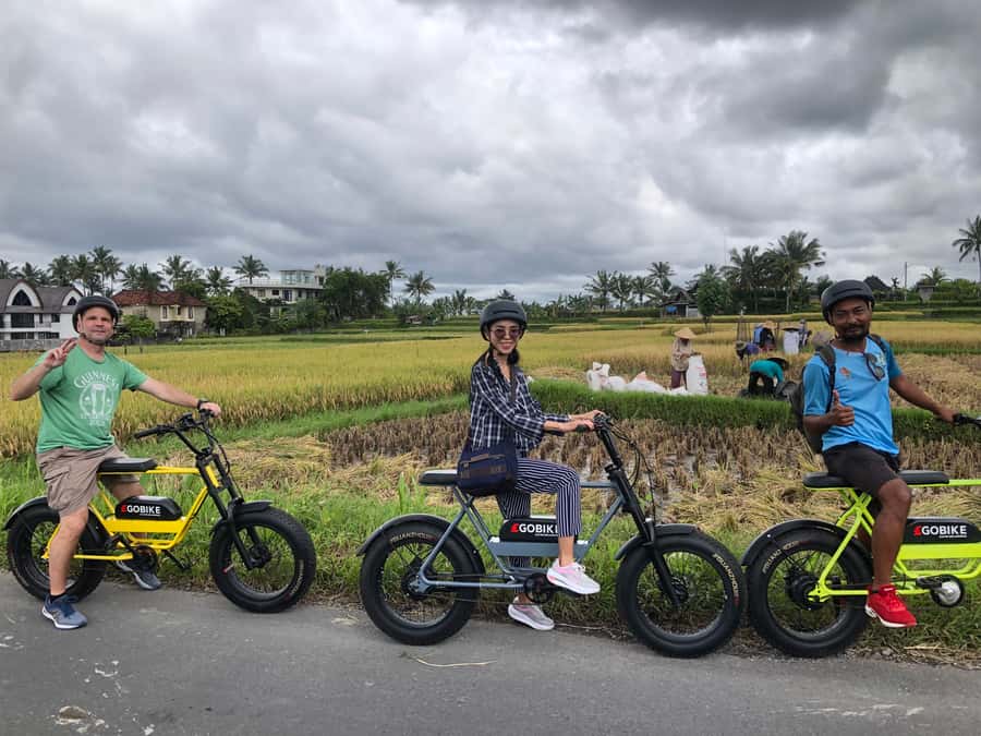 Ubud: Rice Terraces & Villages Half-Day Fat Tire E-Bike Tour - Jalan Cinta and the rice paddies