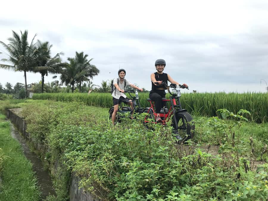 Ubud: Rice Terraces & Villages Half-Day Fat Tire E-Bike Tour - Tegalalang village and a closer look at local life