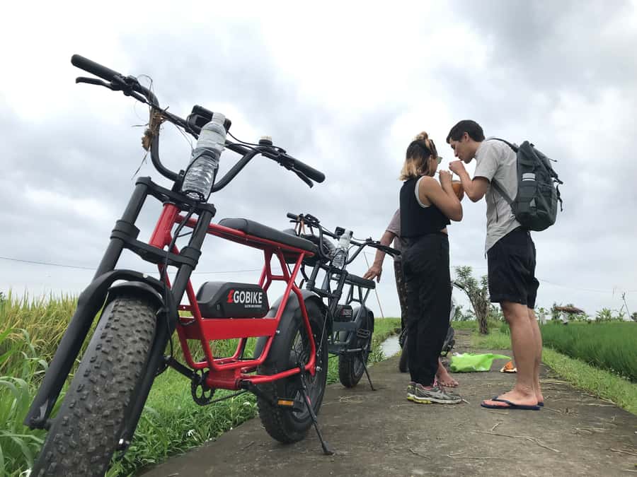 Ubud: Rice Terraces & Villages Half-Day Fat Tire E-Bike Tour - Cekingan Rice Terrace and the subak system