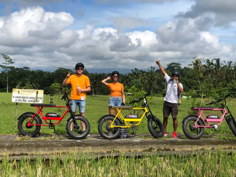 Ubud: Rice Terraces & Villages Half-Day Fat Tire E-Bike Tour - Temples, coffee stops, and route flexibility
