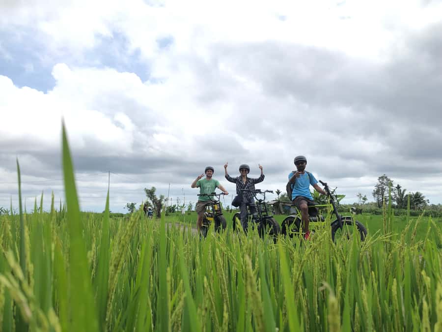 Ubud: Rice Terraces & Villages Half-Day Fat Tire E-Bike Tour - The e-bikes, safety, and physical demands