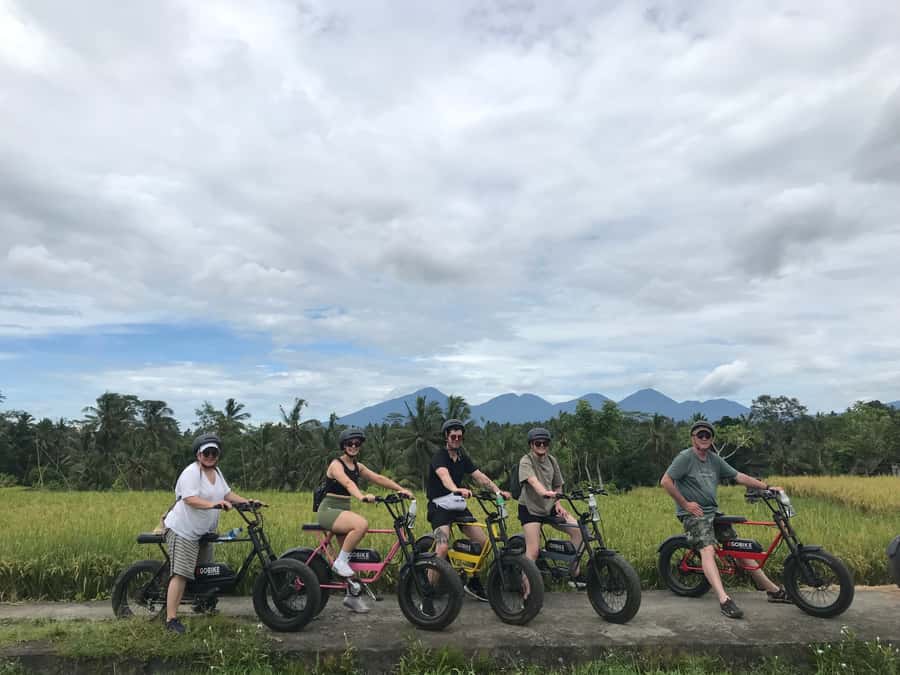 Ubud: Rice Terraces & Villages Half-Day Fat Tire E-Bike Tour - Pickup from Ubud and the trip to the starting point