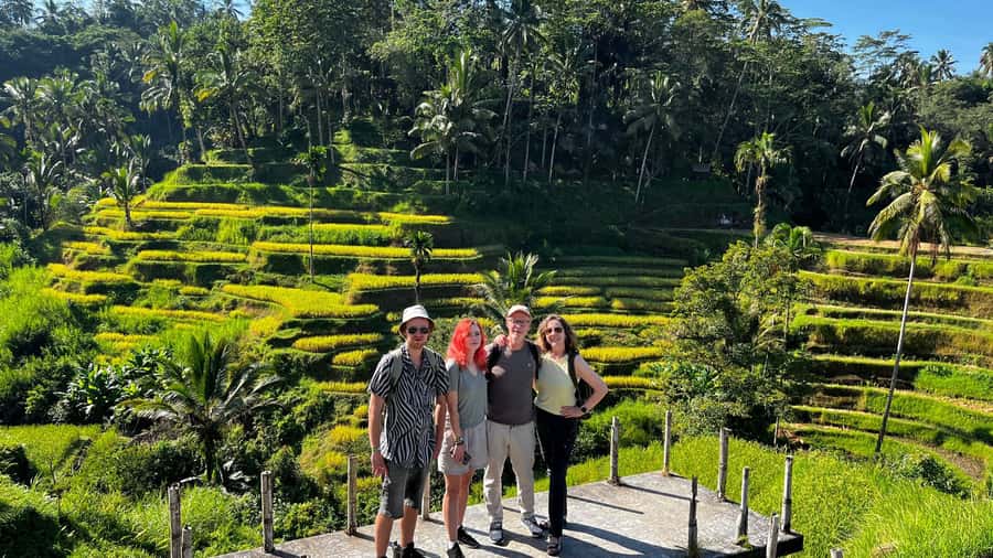 Ubud: Rice Terraces, Water Temple, & Waterfalls Private Tour - Who will enjoy this private tour most