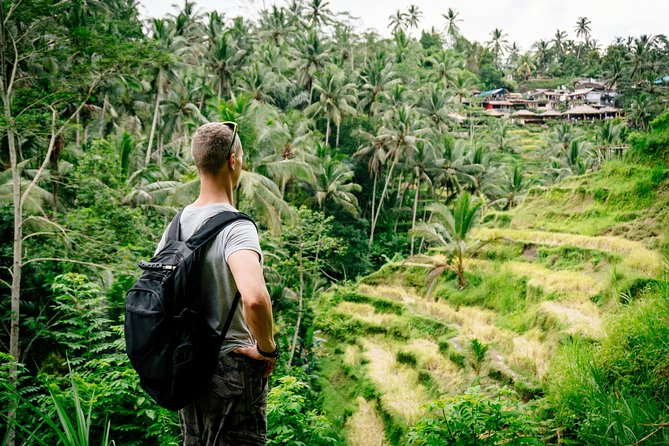 Ubud Small Group Tour: Monkey Forest, Tegalalang Rice Terraces and more - Tirta Empul closes the day with ceremony and meaning