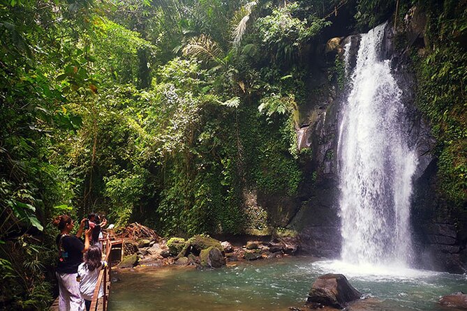 UBUD Spring Temple, Waterfall, Rice Terraces Private Tour - Sacred Monkey Forest: A 45-Minute Start