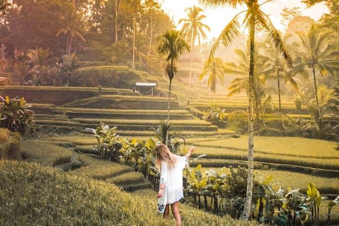 UBUD Spring Temple, Waterfall, Rice Terraces Private Tour - Is $129.99 Per Person Good Value?