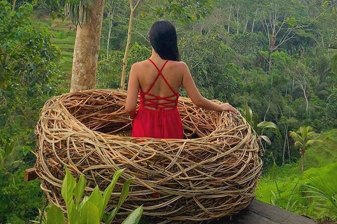 Ubud: Swing - Monkey Forest - Waterfall - Temple - Rice Terraces - Art Crafts - Gallery Ada Garuda and Bali’s woodcarving tradition