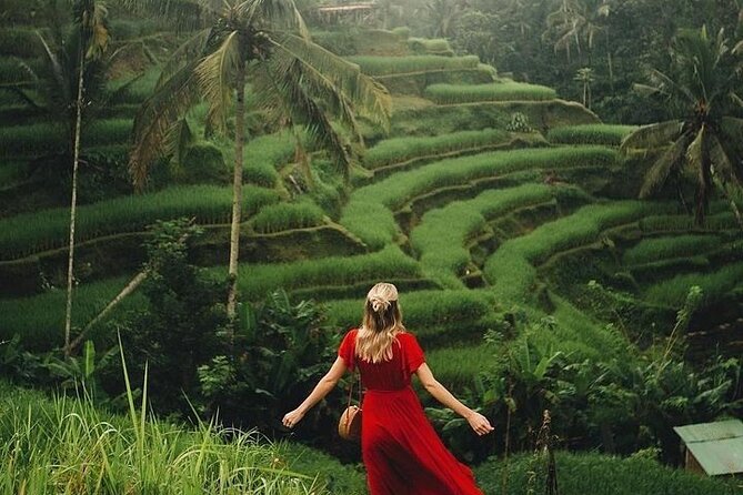 Ubud: Swing - Monkey Forest - Waterfall - Temple - Rice Terraces - Art Crafts - Tegenungan Waterfall, your first taste of jungle scenery