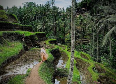 Tegalalang Rice Terrace Photos Tour with Swing Ticket