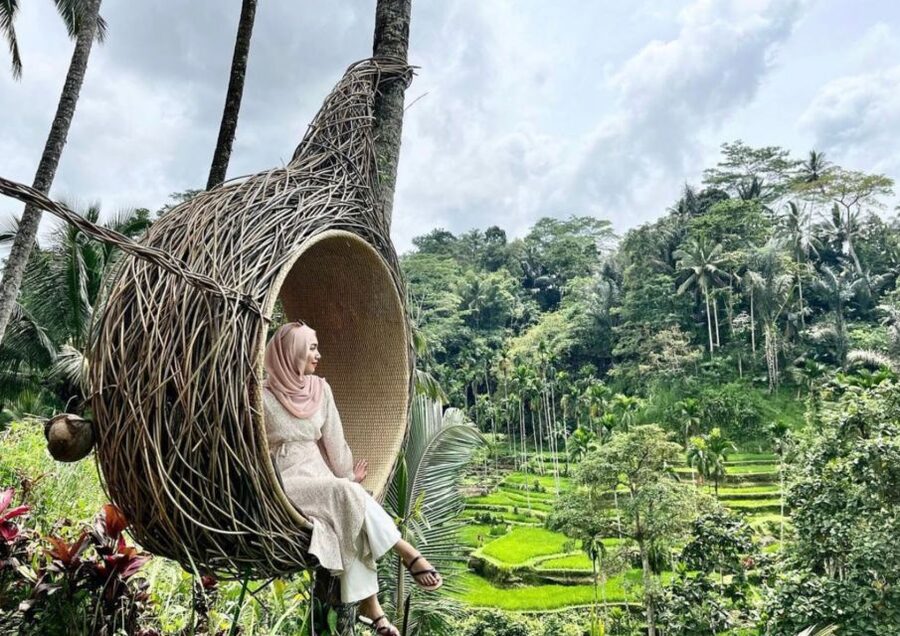 Ubud: Tegalalang Rice Terrace Photos Tour with Swing Ticket - Who should book this tour?