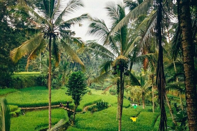 Ubud Temples, Waterfalls, Rice Terraces & Balinese Culture - Who will enjoy this Ubud day
