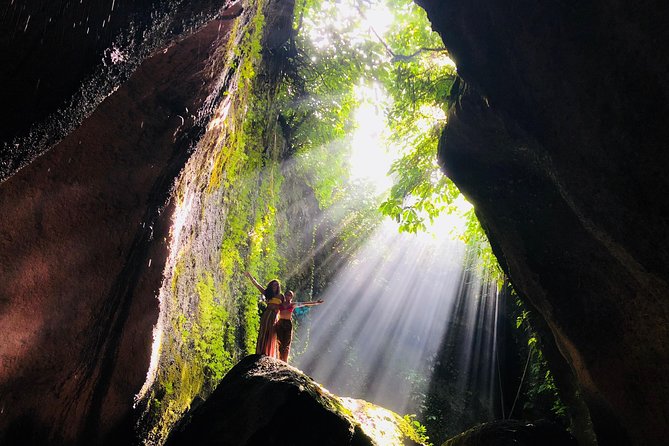 Ubud Temples, Waterfalls, Rice Terraces & Balinese Culture - Walking among the monkeys in Ubud