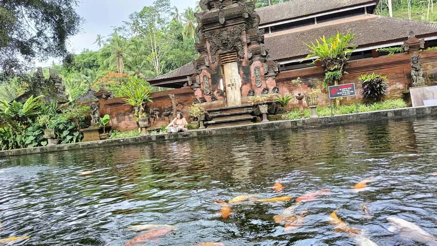 Ubud: Tirta Empul, Rice Terrace, Waterfall and Custom Tour - Key points at a glance
