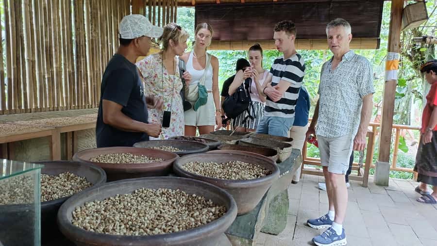 Ubud: Tirta Empul, Rice Terrace, Waterfall and Custom Tour - Lunch and the countryside drive