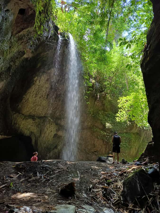Ubud: Tirta Empul, Rice Terrace, Waterfall and Custom Tour - Goa Raja Waterfall and its forest setting