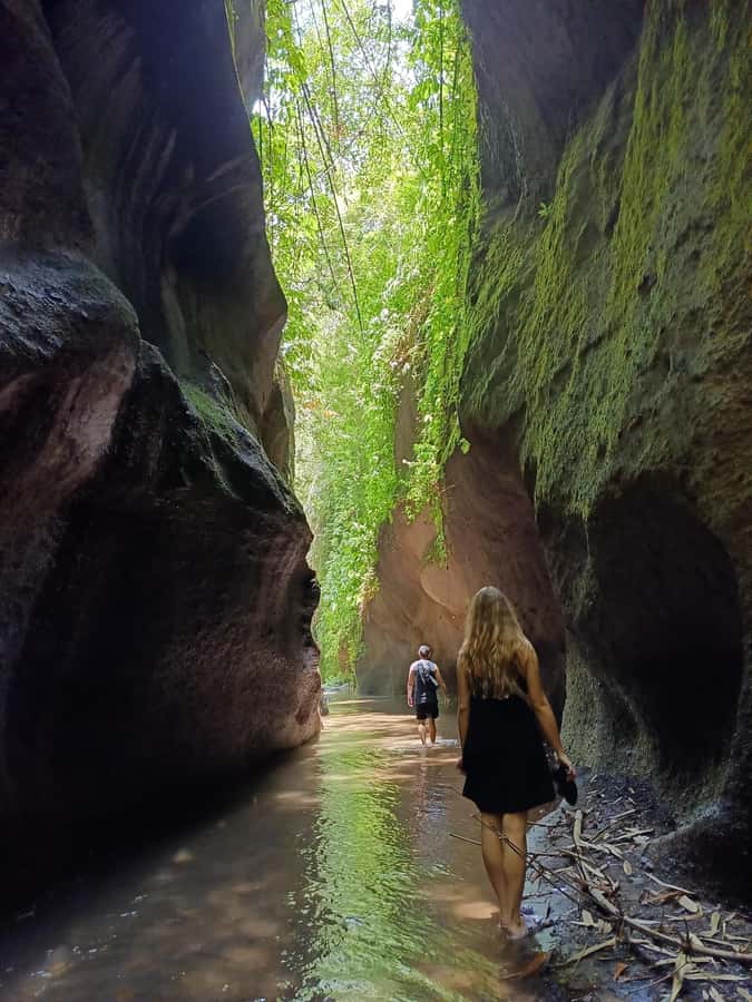 Ubud: Tirta Empul, Rice Terrace, Waterfall and Custom Tour - The guides make the difference