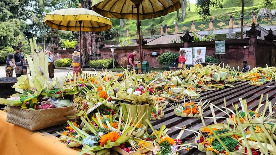 Ubud: Tirta Empul, Rice Terrace, Waterfall and Custom Tour - Walking the Tegalalang rice terraces