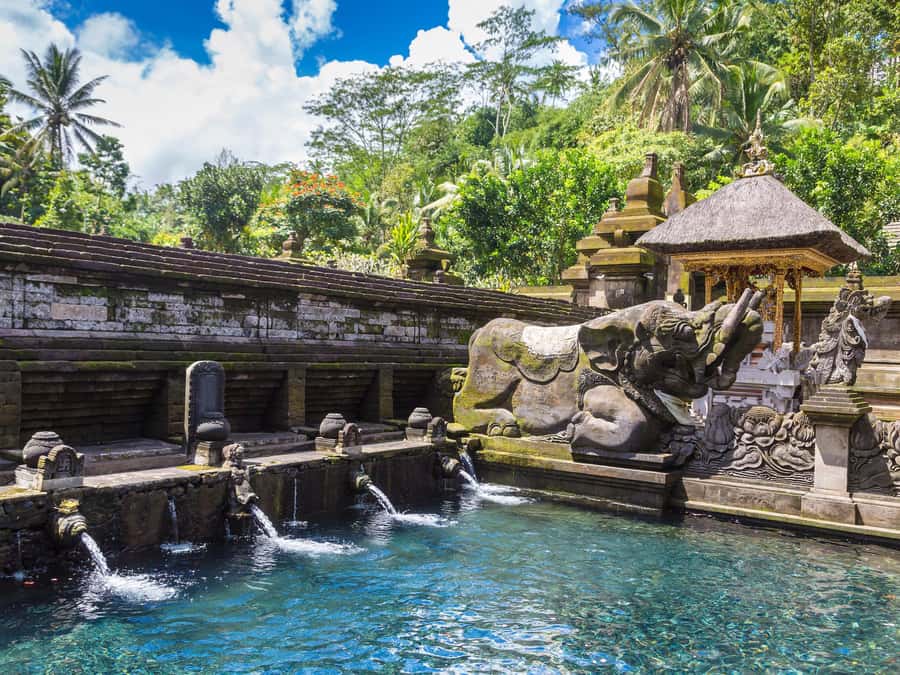 Ubud: Tirta Empul Water Purification Ritual, Private Tour - Manuaba Waterfall Offers a Quieter Pause