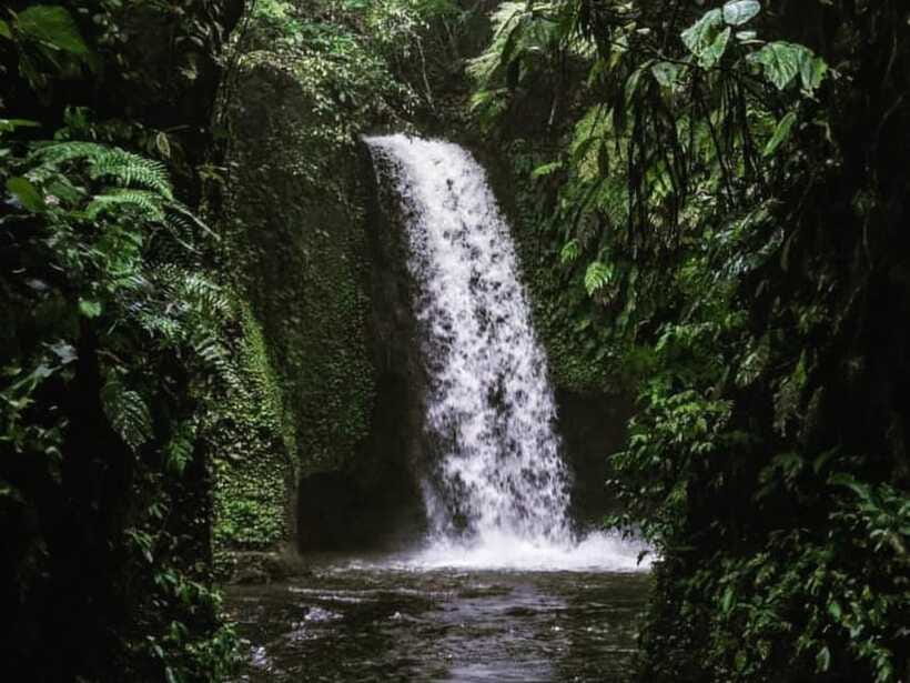 Ubud: Tirta Empul Water Purification Ritual, Private Tour - Who Will Enjoy This Tour Most?