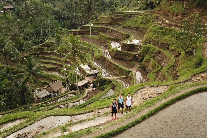 Ubud Top Attractions: Waterfalls, Temples and Rice Terraces - The D Alas swing brings the big photo moment