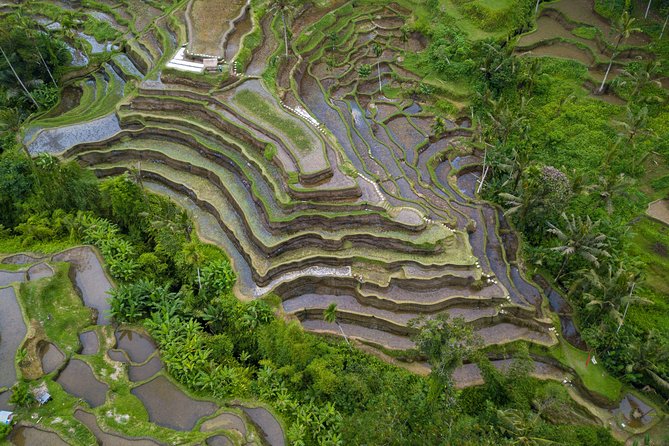 Ubud Top Attractions: Waterfalls, Temples and Rice Terraces - Tegalalang shows the working side of Ubud