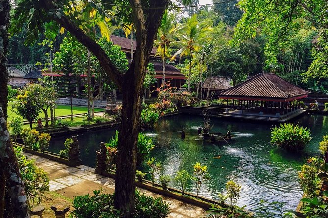Ubud Top Attractions: Waterfalls, Temples and Rice Terraces - Your driver is part of the experience