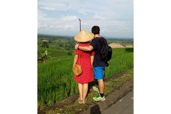 Ubud Tour Monkey Forest, Rice Terrace, Swing, Temple, Waterfall - A private start from Seminyak
