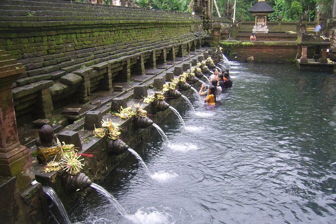 Ubud Tour : Monkey forest, Rice terrace, Water temple, Waterfall & Jungle Swing - Monkey Forest: macaques, trees, and a river canyon