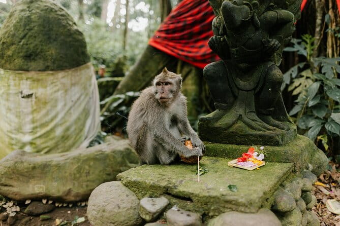 Ubud Tour: Monkey Forest, Rice Terrace, Waterfall, Water Temple - Cooling off at Tegenungan Waterfall