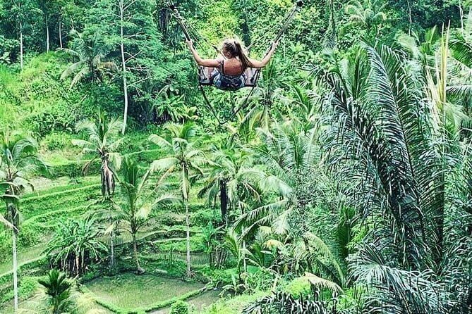 Ubud Tour: Monkey Forest, Rice Terrace, Waterfall, Water Temple - How the private format changes the day