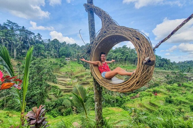Ubud Tour: Monkey forest, rice terraces, temple, waterfall - Tegalalang Rice Terrace and the water that feeds it