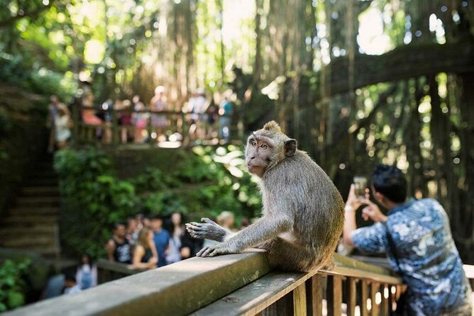Ubud Tour: Monkey forest, rice terraces, temple, waterfall - The guide can shape the day