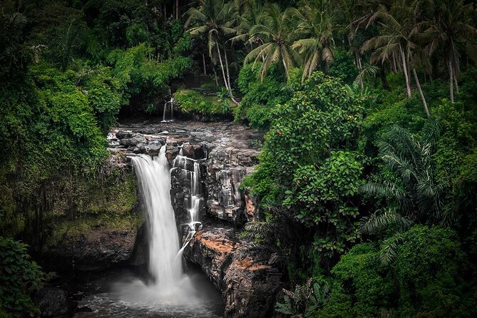 Ubud Tour: Monkey forest, rice terraces, temple, waterfall - Who should book this Ubud day trip?