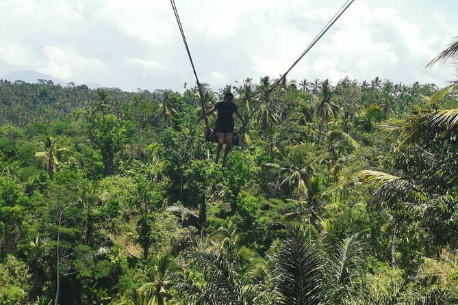 Ubud Village, Tegalalang Rice Terrace Swing, Tirta Empul Temple and Waterfafall - Tegalalang Rice Terrace for classic Bali views