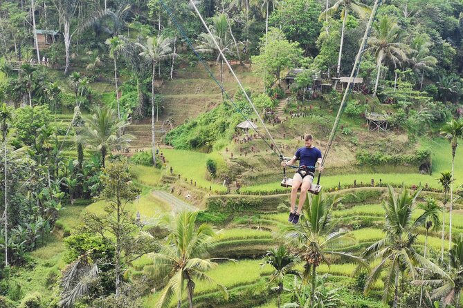 Ubud Village, Tegalalang Rice Terrace Swing, Tirta Empul Temple and Waterfafall - Is $32.24 a good value?